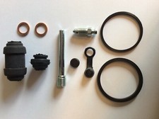 Rear Brake Caliper Seal Repair