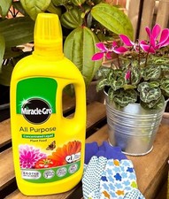 Miracle Gro All Purpose