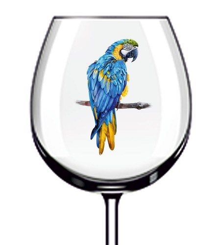 12x blue gold macaw - blue,