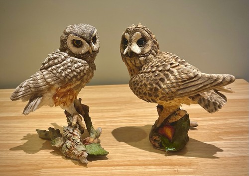 Country artists pair owls - country,