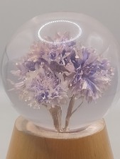 Vintage Hafod Grange 1989