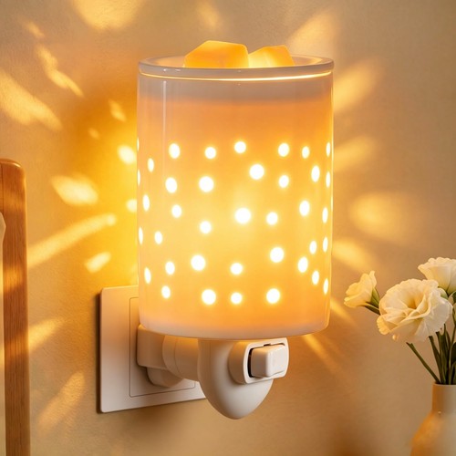 Plug wax warmer burner - in,