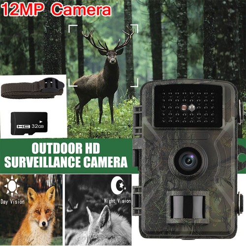Trail wildlife camera - trail,