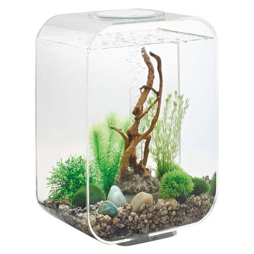 Biorb life aquarium - aquarium, fish