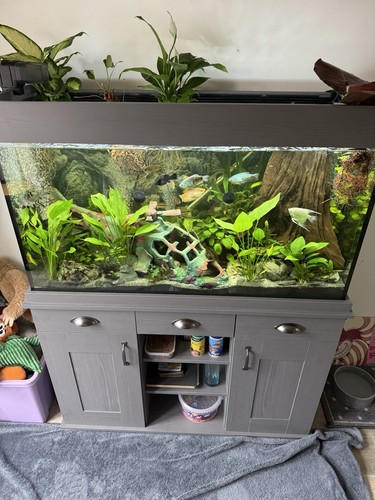 Fluval shaker 252l tank with - shaker,