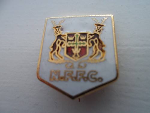 Nottingham forest football - nottingham,