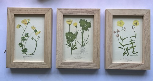 Set three x 5 - of, 5”