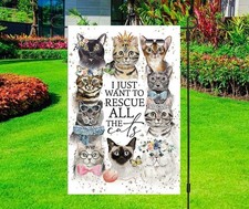 I Just Want To Rescue All The