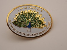 Cancer Research Wales pin