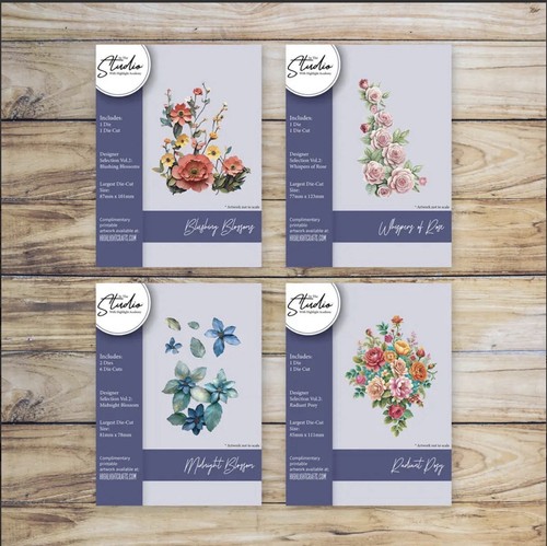 The studio designer - the,