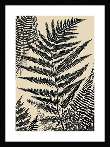 Elegant fern fronds - fern,