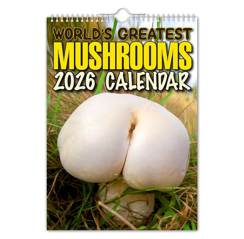 2026 calendar world s - 2026, world’s
