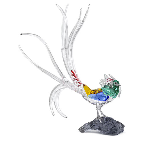 Swarovski 2026 scs - swarovski, lady