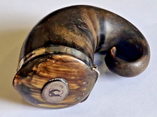 Antique Scottish  Rams Horn