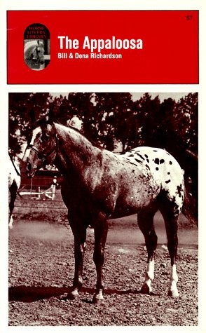 The appaloosa richardson - the,