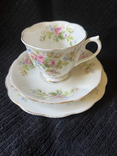 Royal albert moss rose - albert, tea