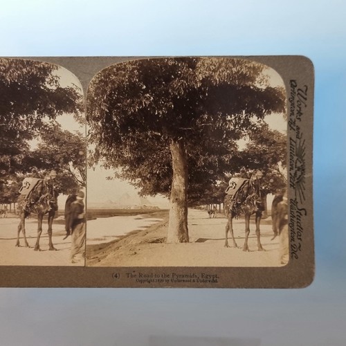 Cairo egypt stereoview - cairo,