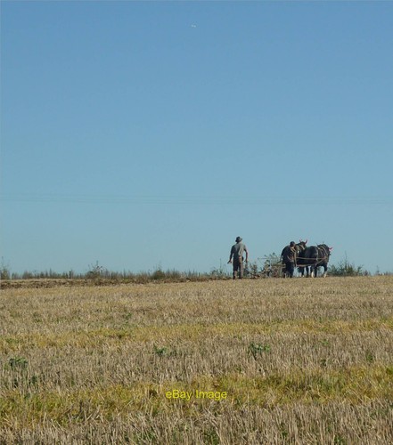 Photo 6x4 horse drawn - horse-drawn, plough