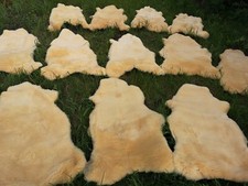 Excellent Genuine Med