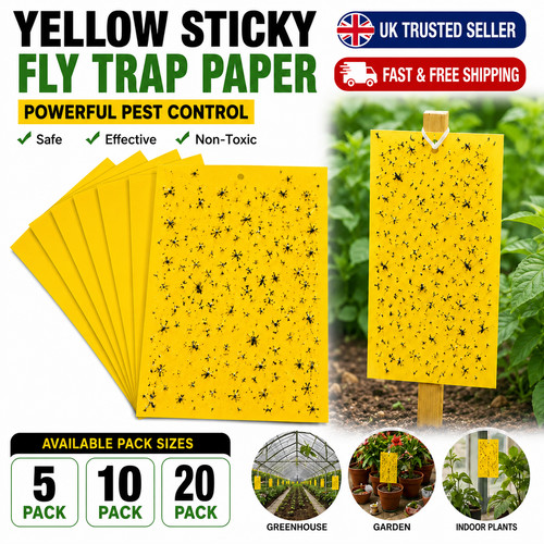 60pk sticky fruit fly traps - sticky,