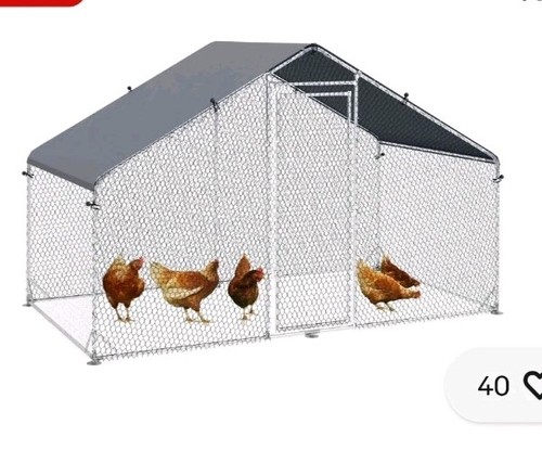 Chicken coop - chicken,