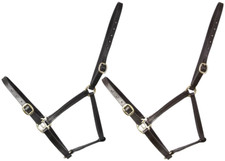 Hy Equestrian Leather Foal