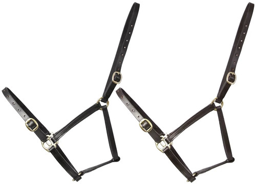 Equestrian leather foal - leather,