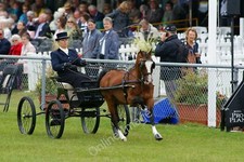 Photo 12x8 The South of