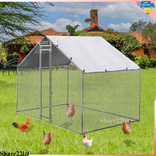 8x6 6x6 6ft - in, chicken