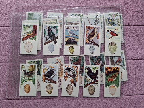 Complete set lyons - lyons, birds