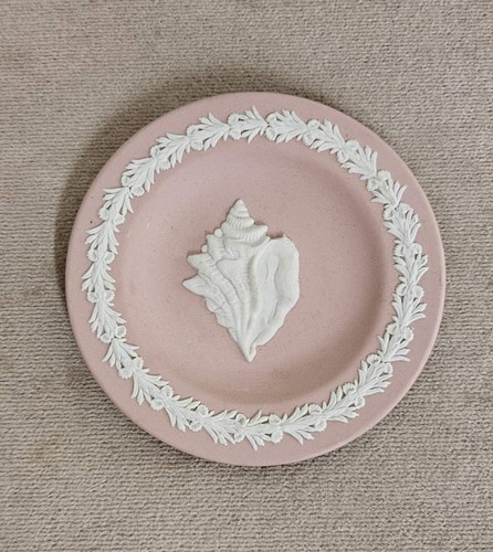 Wedgewood pink conch shell - pink, pin