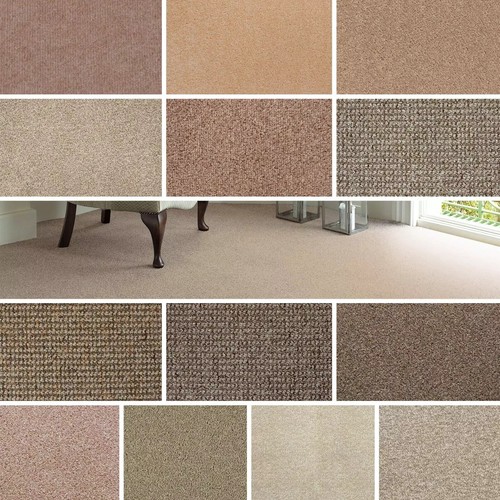 Samples beige loop - samples, &