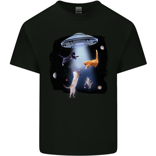 Cat abduction alien ufo - abduction,
