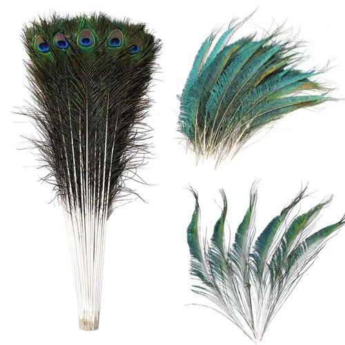 20x natural peacock feathers - natural,