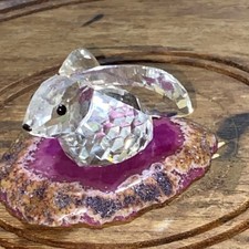 Swarovski Crystal Long Eared