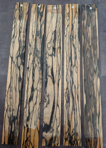 Pale moon ebony acoustic - pale, /