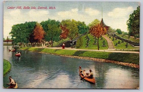 Cedar hill belle - cedar,