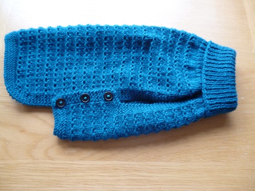 Hand knitted dog cat puppy - hand,