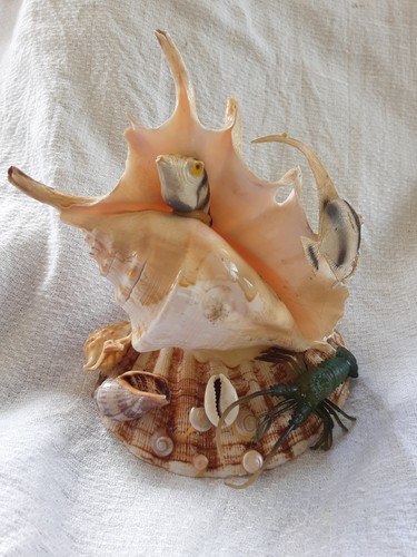 Vintage folk art sea shell - art,