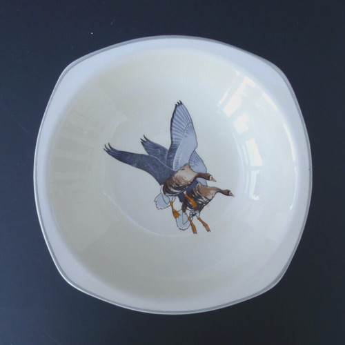 Midwinter peter scott wild - peter,