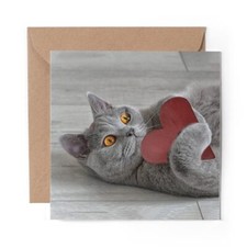 1 x Blank Greeting Card Grey
