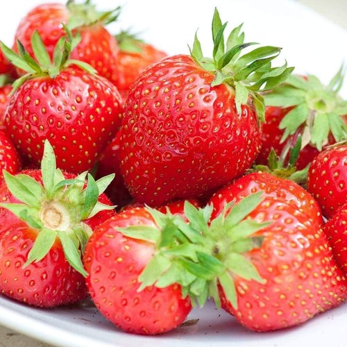 Strawberry flamenco - 5x, 'flamenco'