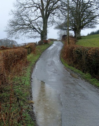 Photo 6x4 lane - lane, erwbant