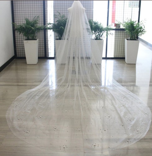 Wedding bridal veil - bridal, church