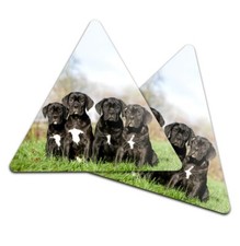 Triangle mdf coaster - triangle,