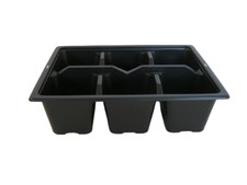 50 x  6 Cell Bedding Plant