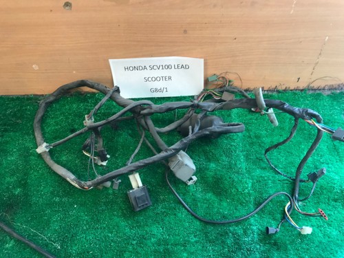 Honda lead scv100 wiring loom - honda,