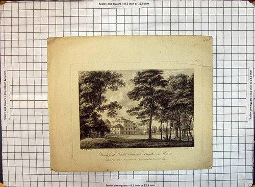 Old antique print duchess - print,
