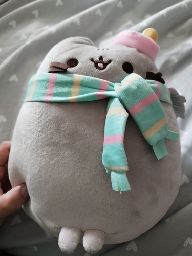 Cozy winter pusheen aurora - pusheen,