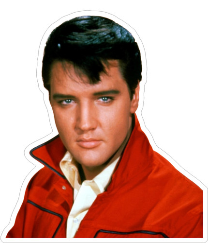 Elvis presley photo sticker - elvis,